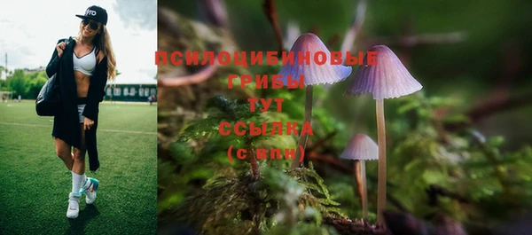 молекула духа Абаза