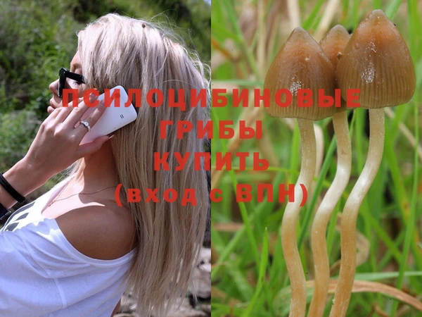 индика Абинск