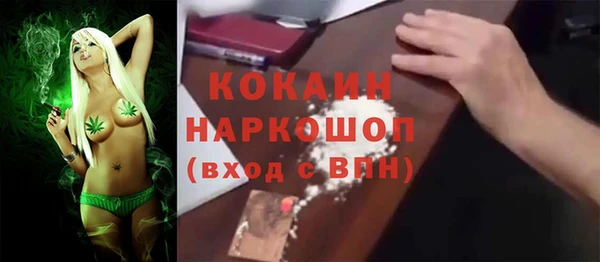 индика Абинск