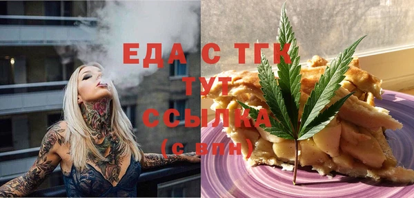 индика Абинск