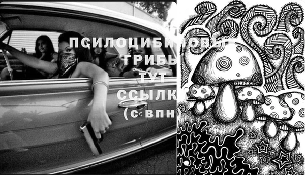 молекула духа Абаза
