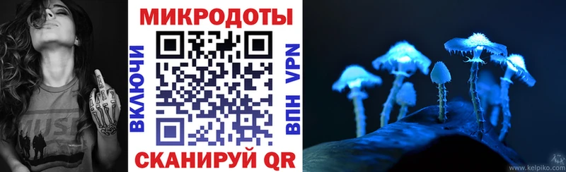 Галлюциногенные грибы Magic Shrooms Терек