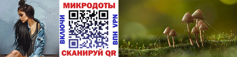 Галлюциногенные грибы GOLDEN TEACHER Терек